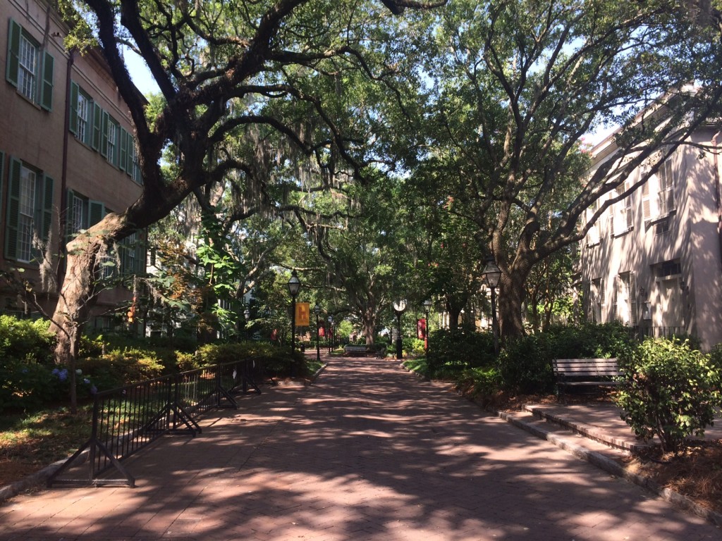 College of Charleston campus, i.e. paradise.